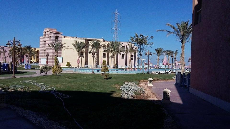 Seaview Chalets In Porto South Beach - Families Only ไอน์ ซกนา ภายนอก รูปภาพ